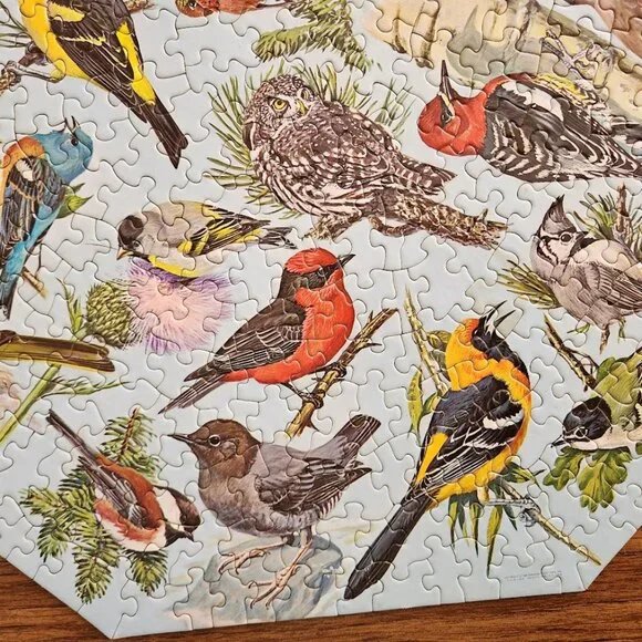 Vintage 500 Piece 1968 Springbok Octagon Puzzle Western Birds by Malick PZL 8015